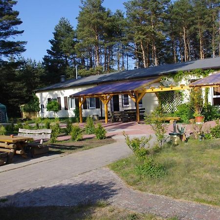 Hostel Waldhaus Am Ferienpark Mirow -Zimmer Du Wc Dış mekan fotoğraf